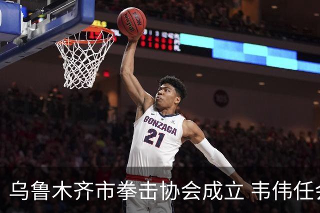 乌鲁木齐市拳击协会成立 韦伟任会长