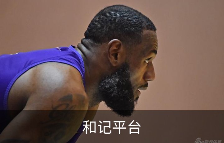 和记平台概况